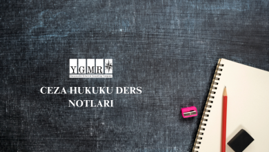 Ceza Hukuku Ders Notları